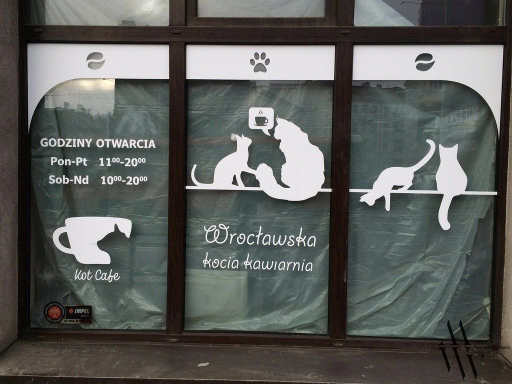 Wkrótce otwarcie pierwszej kociej kawiarni. – MiejscaWeWroclawiu.pl