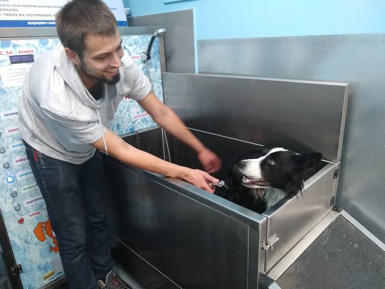 Otwarto pierwszą „Myjnie dla psów”. – MiejscaWeWroclawiu.pl