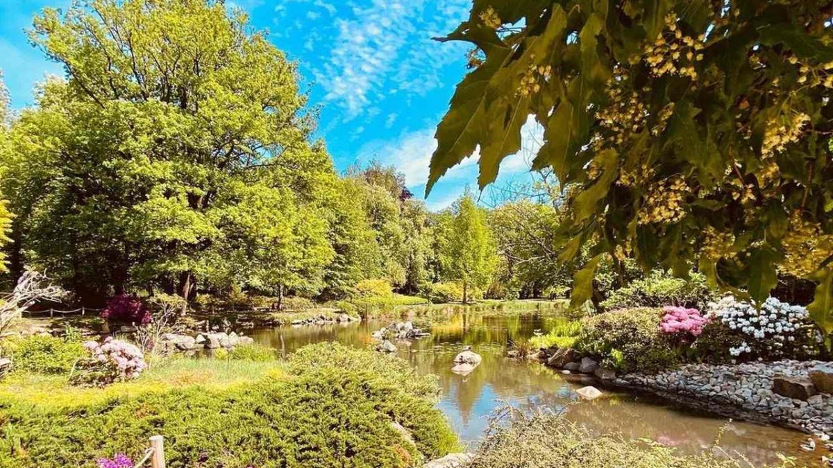 Ogród Japoński i Ogród Botaniczny kończą sezon.