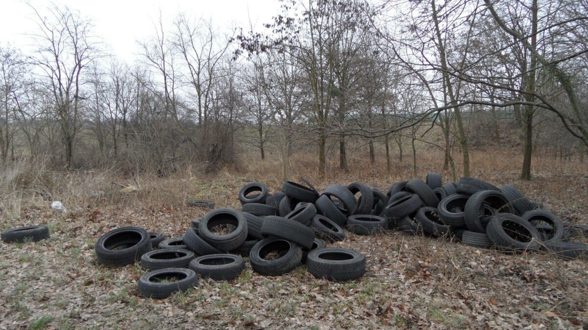 Kilkaset ton odpadów na nielegalnych wysypiskach we Wrocławiu.