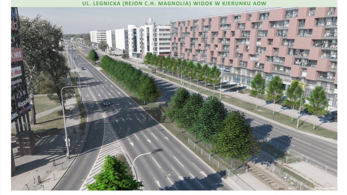 Rusza wielkie zazielenienie ulicy Legnickiej i Lotniczej we Wrocławiu. Pojawi się tam ponad 900 drzew.