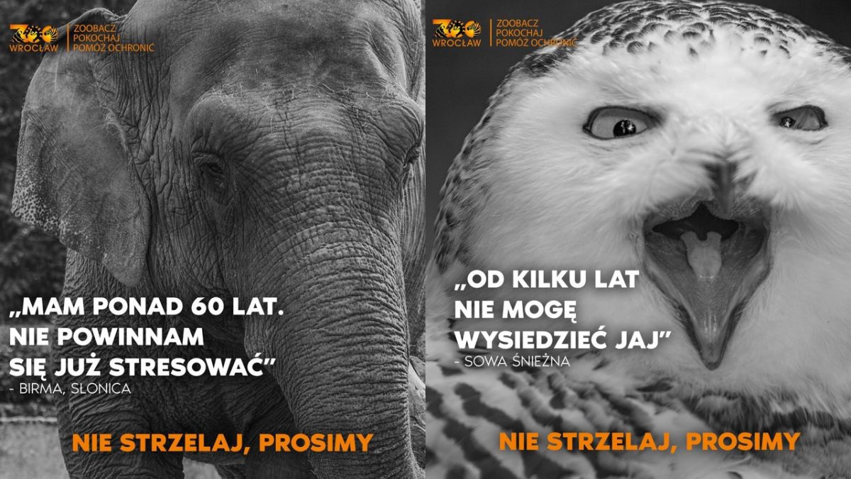 Zwierzęta i opiekunowie ZOO Wrocław apelują – Nie strzelaj w Sylwestra.