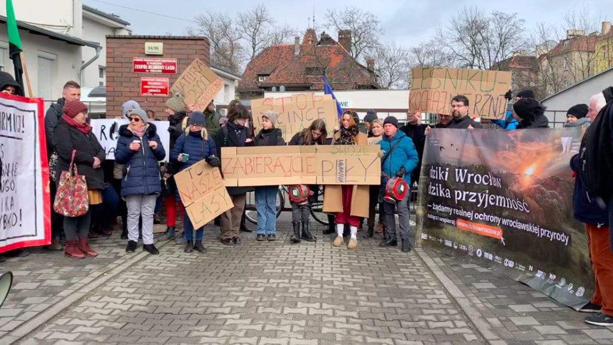 Protest przeciw wycince wrocławskich lasów.