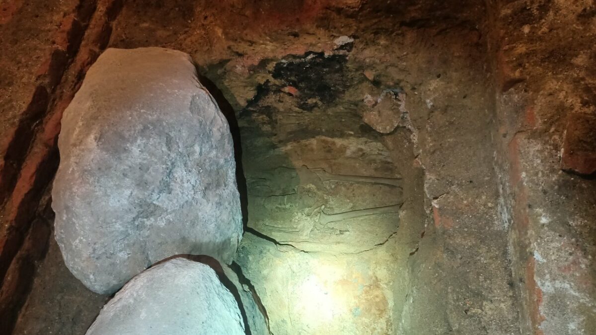 Średniowieczne szczątki odnalezione w podziemiach Pałacu Hatzfeldów.