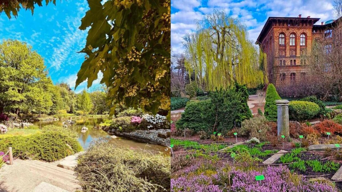 Ogród Japoński i Ogród Botaniczny rozpoczynają sezon. 